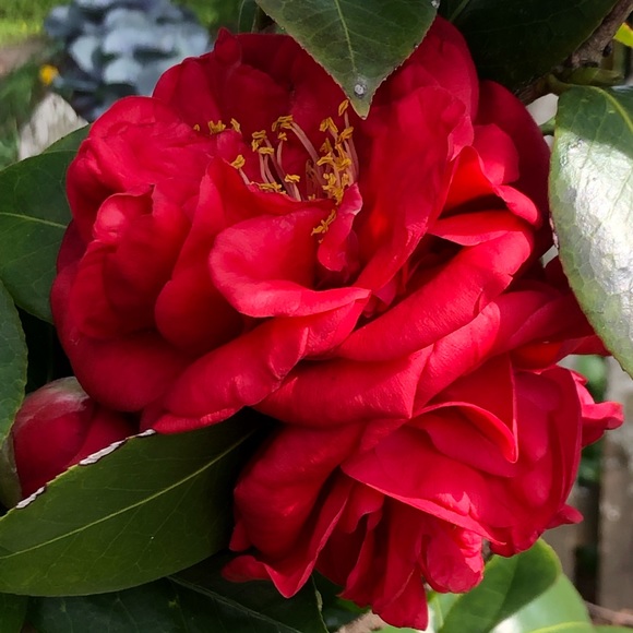 Hi, I’m Angie - Picture 1 of 1